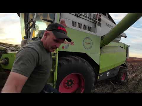 Видео: Claas mega. Уборка подсолнечника.