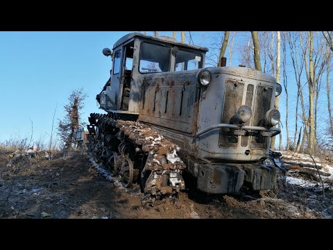 Видео: Т-74+2ПТС-4.В ліс по дрова #т74 #ЗІЛ131