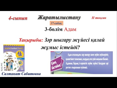 Видео: 4 сынып жаратылыстану 17 сабақ Зәр шығару  жүйесі қалай жұмыс істейді