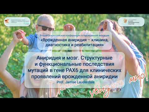 Видео: Аниридия и мозг.