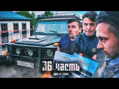 Видео: ВЫ ПЕРВЫЕ УВИДИТЕ ЭТО! - 36 часть
