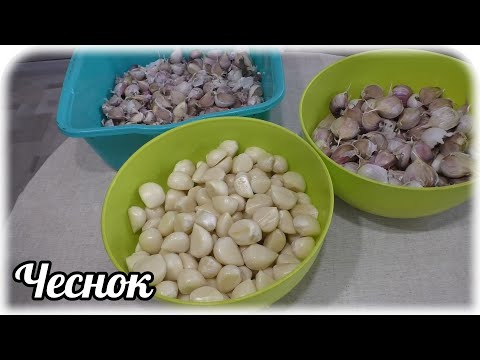 Видео: Как надёжно и просто сохранить ЧЕСНОК на всю зиму. Узнала сама, испробовала и делюсь с вами.