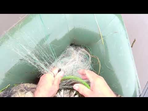 Видео: Проверяем  сеть  на  курье...и  снимаем.  Нам  пока  хватит.