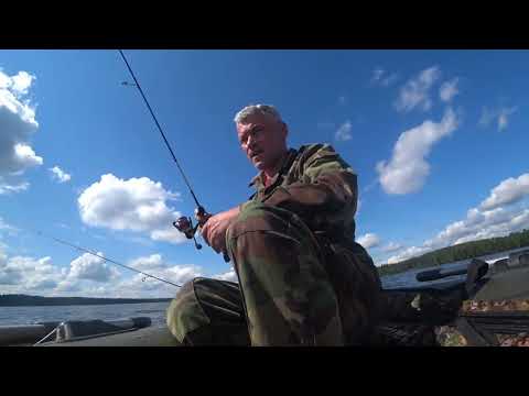 Видео: Бешеный судак 2.7 кг. на леску 0.14. рыбалка в Зеленогорске.