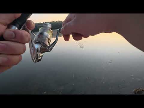 Видео: 🎣 Рыбалка на хищника на Днестре (Молдова