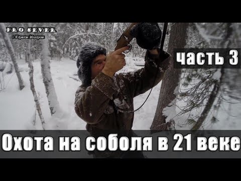 Видео: Промысел соболя 21 век. Часть 3. Охота. Закрытие сезона Hunting in Russia