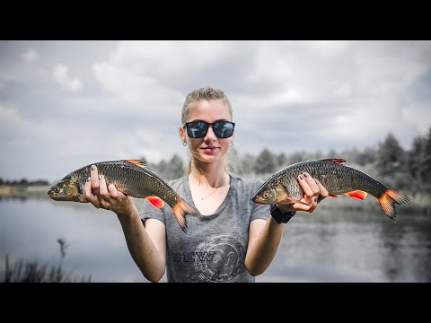 Видео: Хотели ЛЕЩА а попали на ГОЛАВЛЕЙ !!!