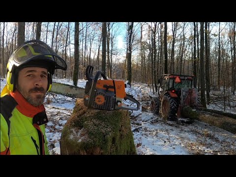 Видео: Как МС 361? Регистрация через долгое время с небольшими доработками двигателя, Амлес, Зетор