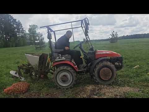 Видео: 11 мая 2025 г.