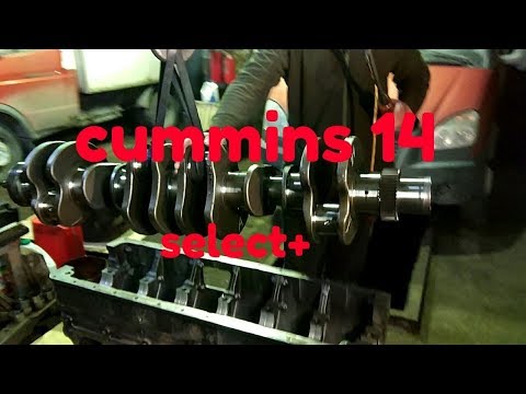 Видео: CUMMINS14  установка коленвала!