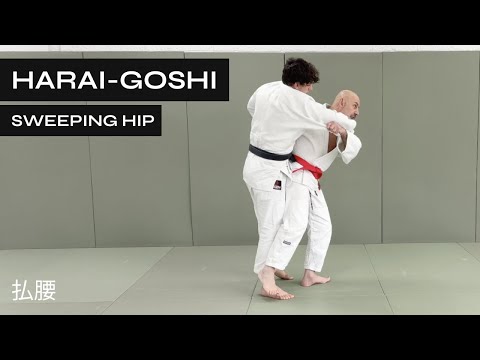 Видео: Как делать Хараи-Гоши | Подсечка бедрами