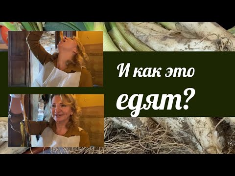 Видео: Что такое лук кальсот и как его едят. Кальсотада. Где поесть в Барселоне.