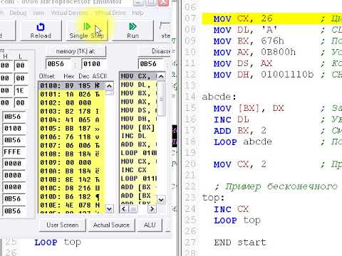 Видео: Инструкция LOOP
