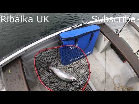 Видео: Fishing Рыбалка в Англии Форель  Trout Fishing Hanningfield Reservoir