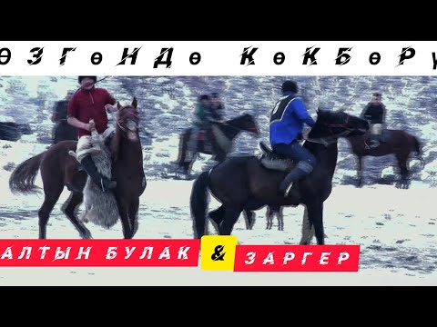 Видео: #кокборуспорт#кокбору#улак Өзгөн районунун кокбору боюнча чемпионаты. Алтын Булак & Заргер.