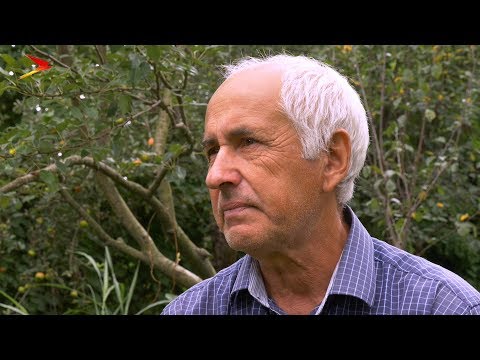 Видео: Хъæдгæрон | Фæрдгуытæ