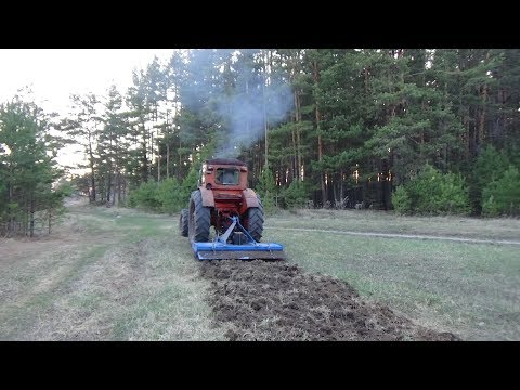 Видео: Пробуем почва фрезу по целине ,сломали три ножа, посадили картофель.