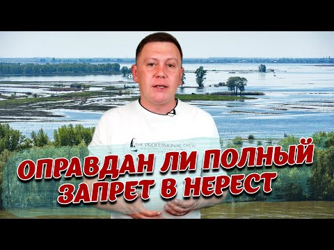 Видео: БЕЗ ЧЕШУИ - Видовой запрет в соседних областях. Канал К.Сатпаева возможно попадет под запрет.