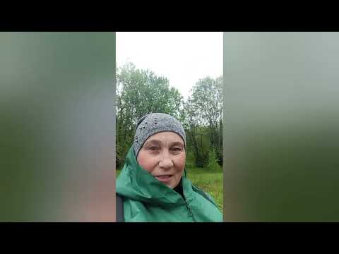 Видео: Наша экологическая прогулка ранним майским утром.