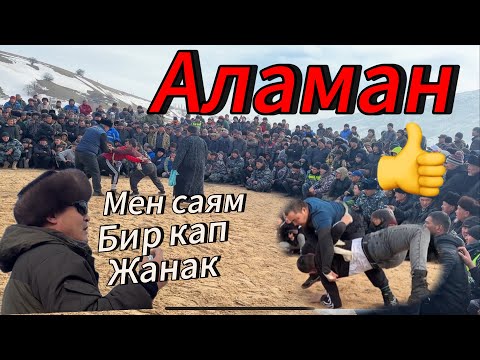 Видео: Аламан курош Ото кызып кетти  ЖалалАбад