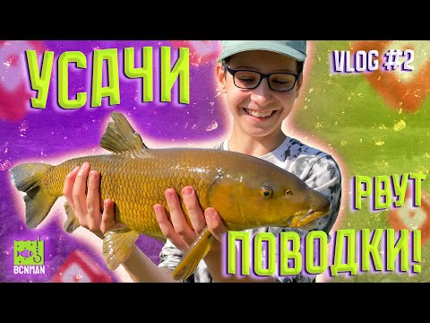 Видео: Усачи рвут поводки! Рыбалка на спиннинг в Испании! VLOG#2 #fishing #spinning #рыбалка #спиннинг
