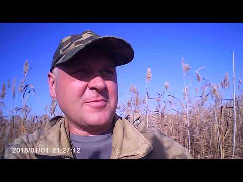 Видео: премьера фильма (охота на вредителя, Серую ворону )