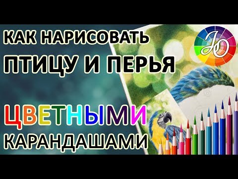 Видео: РИСУЕМ ПТИЦУ. Как нарисовать птицу и оперение цветными карандашами в технике реализма.