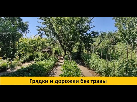 Видео: Как избавилась от травы в огороде и облегчила себе труд. Теперь чистые грядки и дорожки. Обзор.