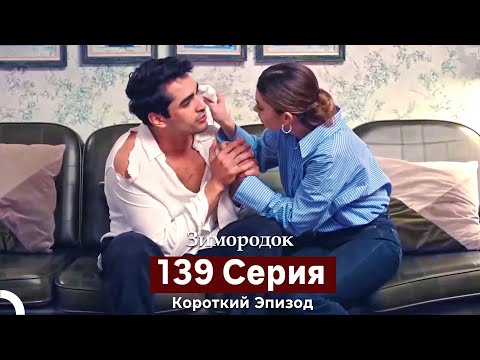 Видео: Зимородок 139 Cерия (Короткий Эпизод) (Русский дубляж)