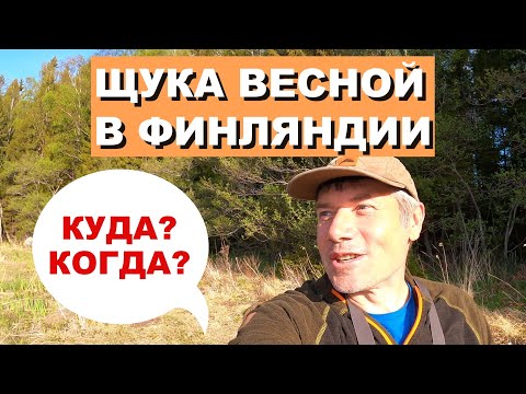 Видео: В Финляндию на рыбалку за щукой весной.🎣Куда и Когда?