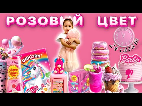 Видео: CHALLENGE:24 сағат ⏰ РОЗОВЫЙ💕🛍️😱 | МЕДИНАМЕН БІРГЕ ҚЫДЫРДЫҚ🍭🩷#челлендж#24часа