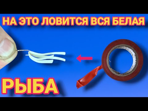 Видео: НА ЭТУ ПРИМАНКУ ловится вся рыба , РЫБА СХОДИТ С УМА