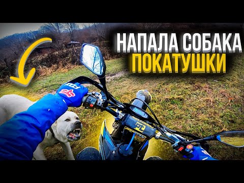 Видео: НАПАЛА СОБАКА | ПОКАТУШКИ НА АДВАНС 300
