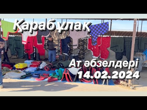 Видео: 14.02.2024 Ат әбзелдері. Қарабұлақ