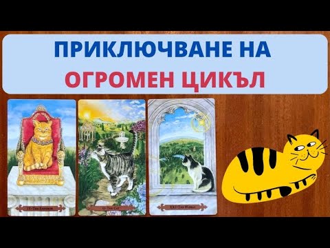 Видео: 🦋ПРИКЛЮЧВАНЕ НА ОГРОМЕН ЦИКЪЛ 🦋 | НОВОЛУНИЕ В БЛИЗНАЦИ ♊️ 18 Юни 2023| Timeless ✨