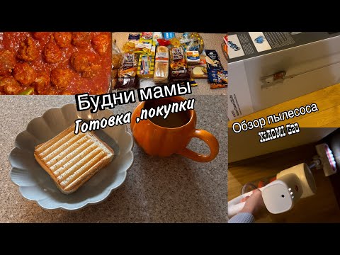 Видео: Покупки для дома//Обзор пылесоса XIAOMI G20//куда мы едем ?💞