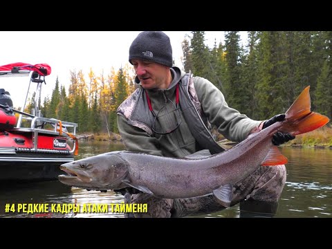 Видео: ОНИ СОЖРАЛИ ЗДЕСЬ ВСЮ РЫБУ! Пробрались в логово тайменя и оторвались по рыбалке на спиннинг!