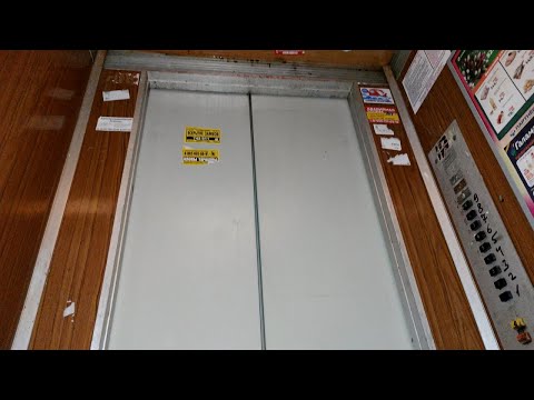 Видео: Лифт (МЛЗ-1981 г.в); V=0,71 м/с; г/п 320 кг (б-р Гая 12 подъезд 4; г. Тольятти; 12-й квартал)