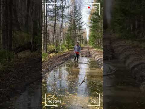 Видео: купил УАЗик и пожалел... почему я не купил его раньше.