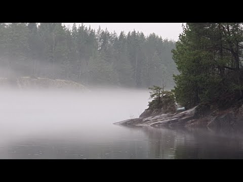 Видео: 7 ноября 2025. Снятие стресса, купание в холодной воде. Сбросить кортизол за пару минут. 