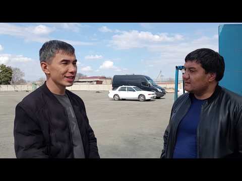 Видео: Разговор о Тестовых Испытаниях. Я такого еще не видел.  40 волкодавов в одном месте.