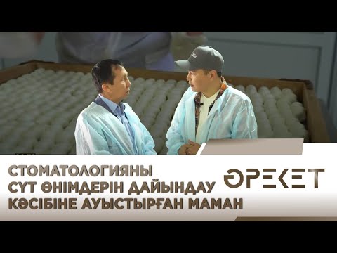 Видео: Стоматологияны сүт өнімдерін дайындау кәсібіне ауыстырған маман. «Әрекет»
