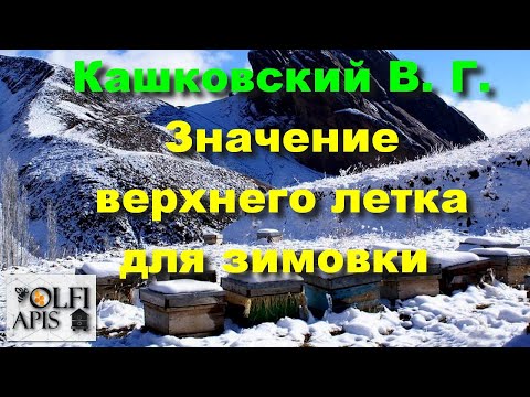 Видео: #Кашковский В.Г. Значение верхнего летка для зимовки .
