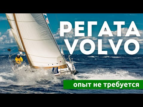 Видео: Регата VOLVO - для новичков в парусе | Опыт для участия не требуется | Яхтинг с Михаилом Савельевым