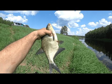 Видео: Рыбалка с шикарными видами. Жара. Река Луга.
