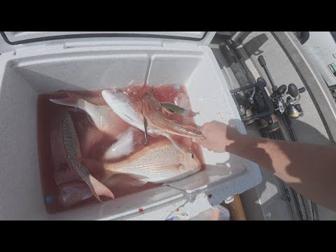 Видео: Миссия по отлову люциана на Диком Западном побережье — вход в гавань Кайпара