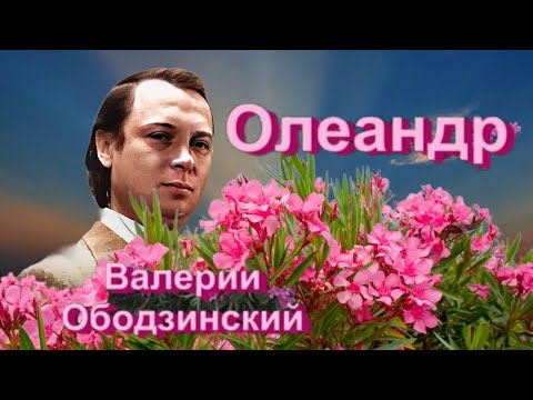 Видео: "Олеандр" --    Валерий Ободзинский. 1978 год.