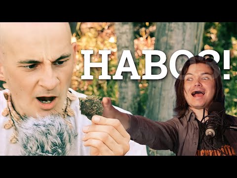 Видео: Маргинал поясняет за кришнаизм и потребление навоза