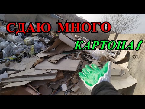 Видео: ПОИСК КАРТОНА НА СВАЛКЕ! СДАЧА КАРТОНА В ПУНКТ ПРИЕМА ВТОРСЫРЬЯ! КАК ЗАРАБОТАТЬ ДЕНЬГИ НА МУСОРЕ?