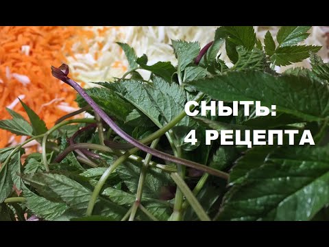 Видео: СНЫТЬ квашеная и маринованная: 4 рецепта